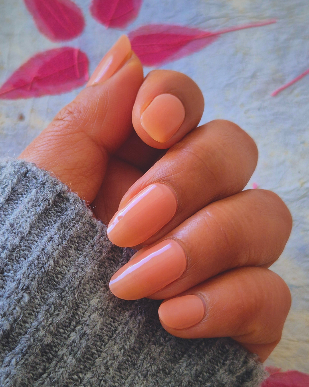Citrus Cutie
